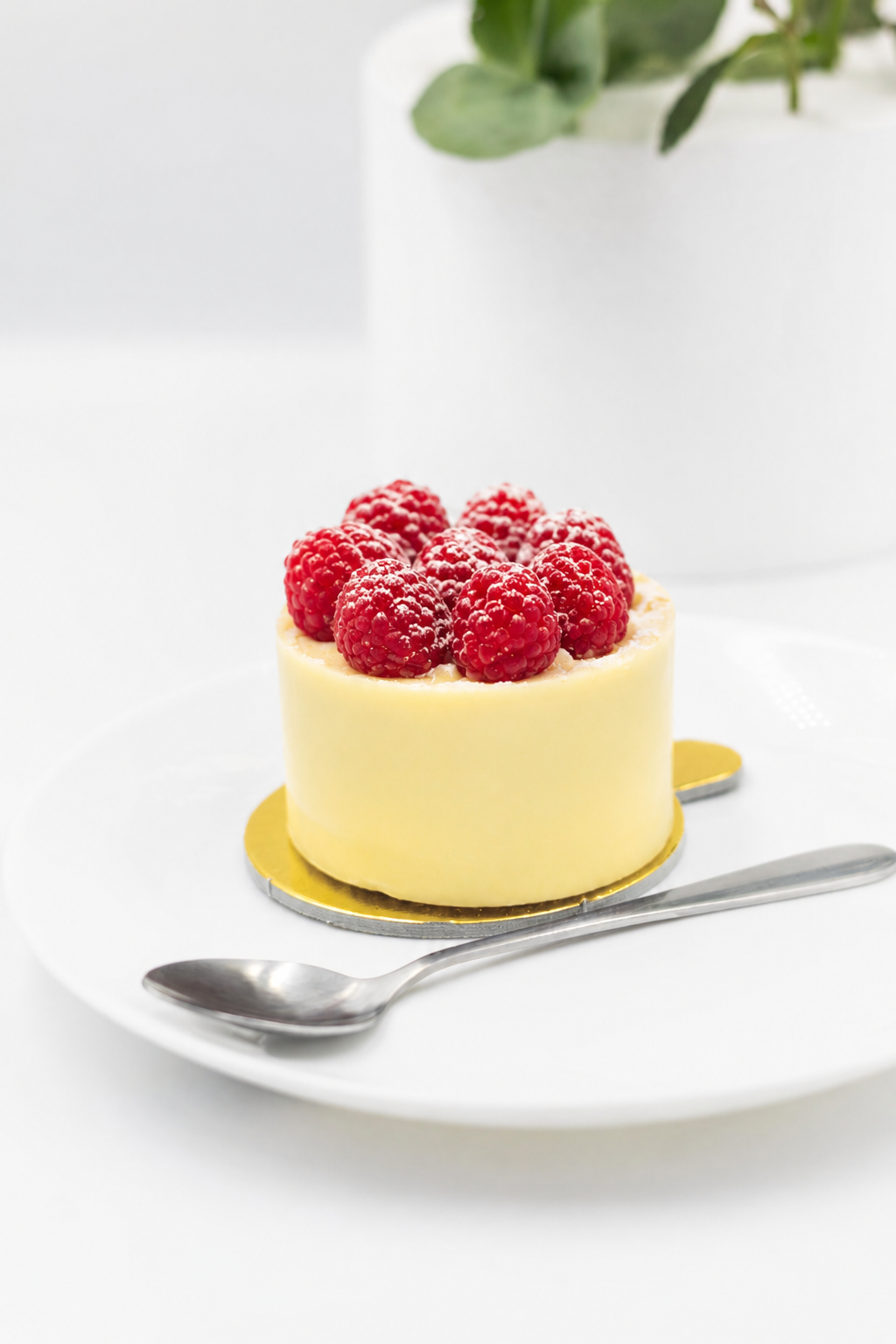 Mousse de Vanilie